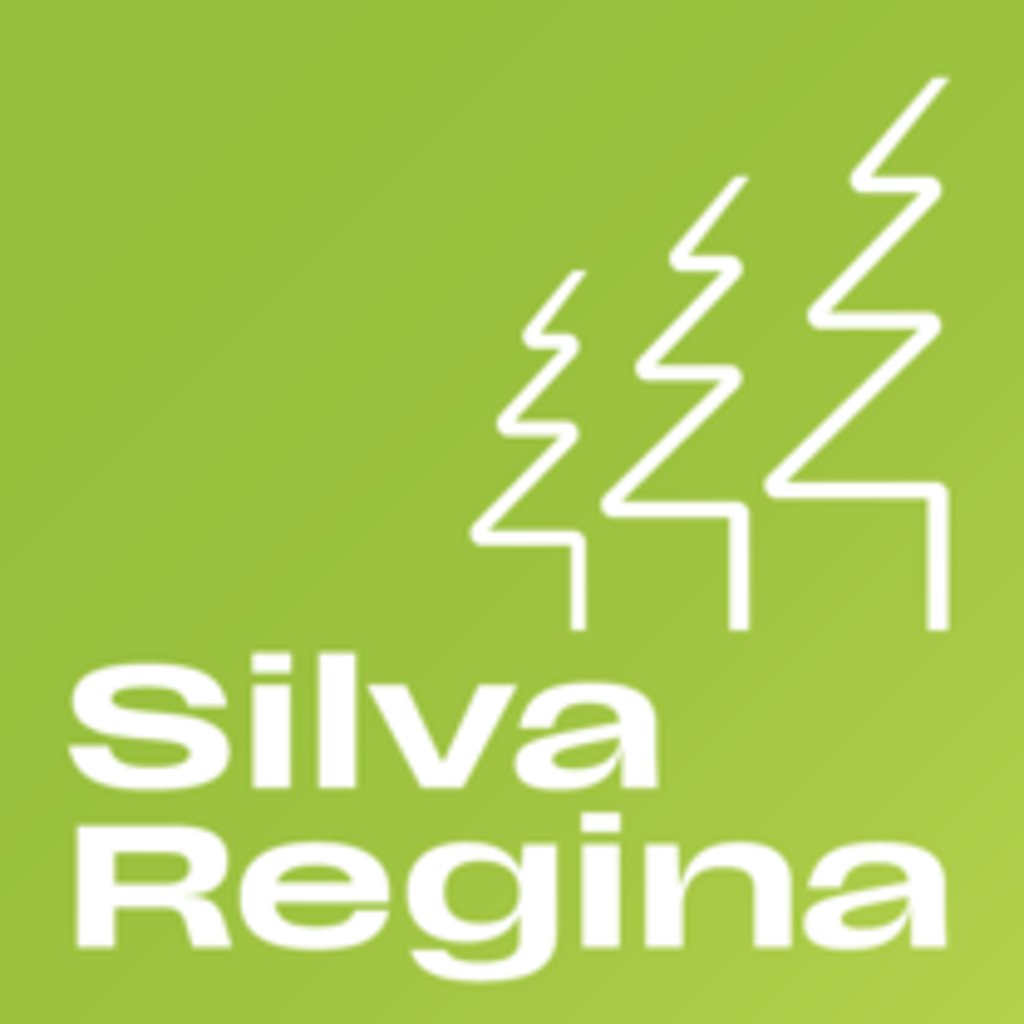 Logo Silva Regina